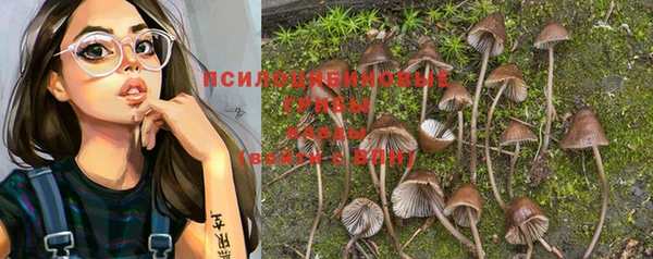 мет Балахна
